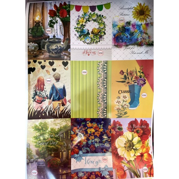 دفتر 100 برگ خطی سیمی طلقی کلاسیک / عمده / کارتن 74 عددی